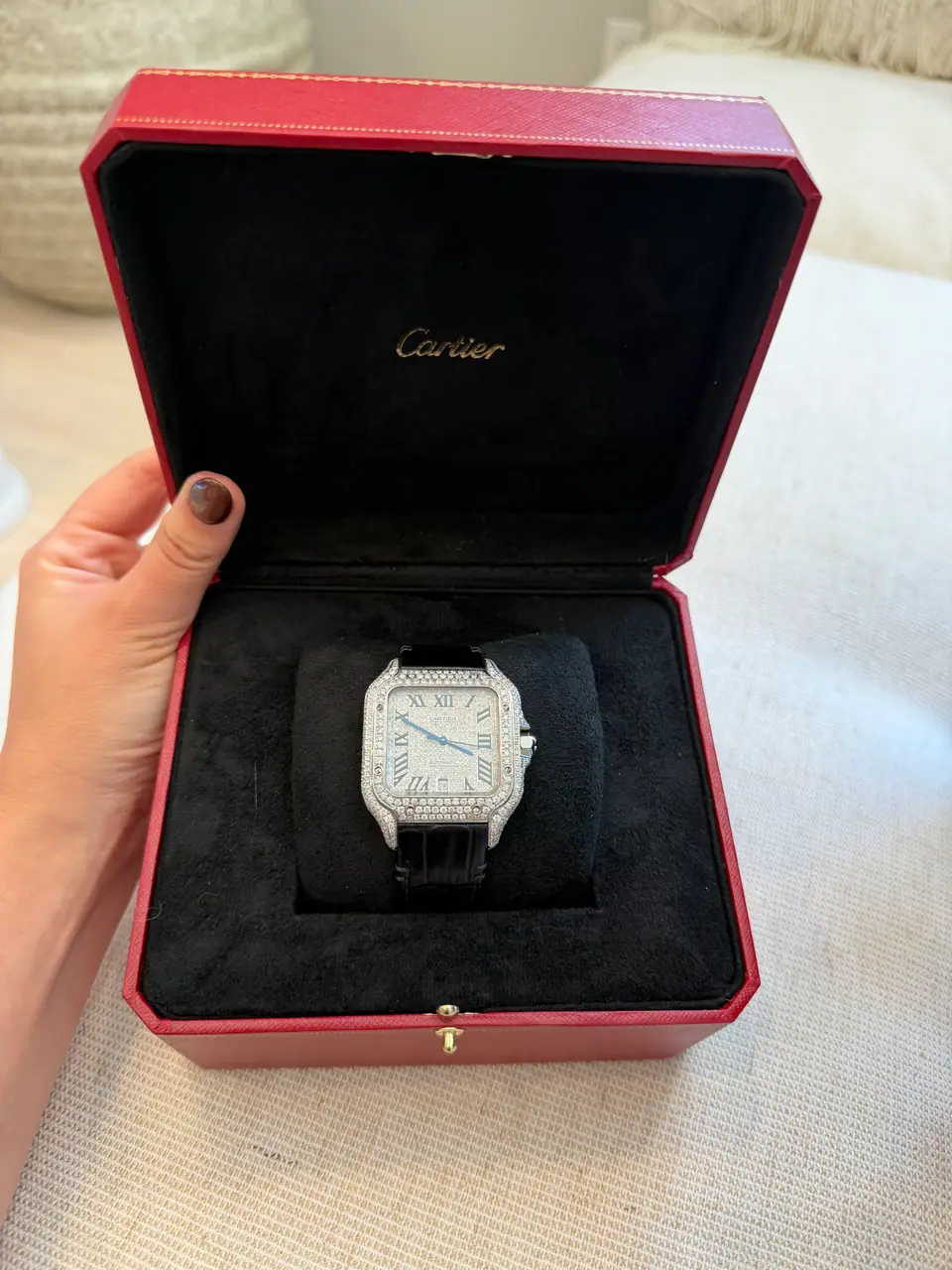 Cartier Santos de Cartier Large, 5.00 ct Diamond Set, photo 4 of 13