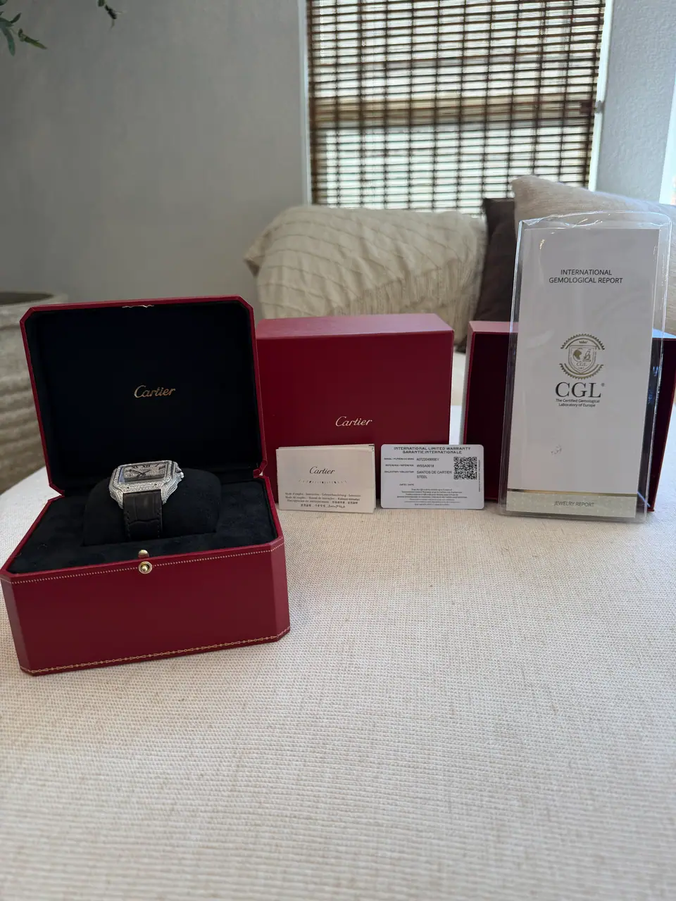 Cartier Santos de Cartier Large, 5.00 ct Diamond Set, photo 5 of 13