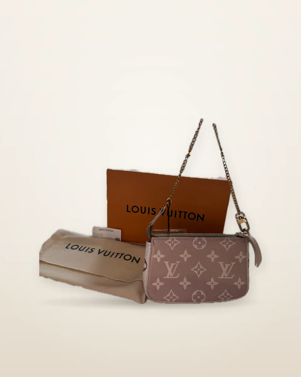 Louis Vuitton Mini Pochette Accessoires, Bicolor Monogram Empreinte
